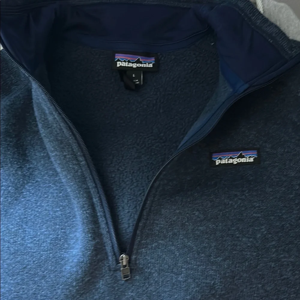 PATAGONIA Blue Quartz 1/2 zip pullover Sweatshirt Size Large - Picture 7 of 8